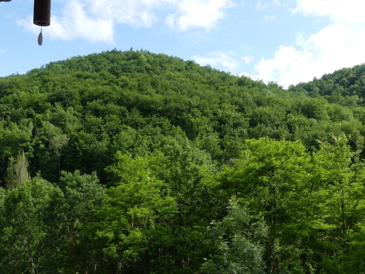 Source Nature Mas-d'Azil Екстериор снимка