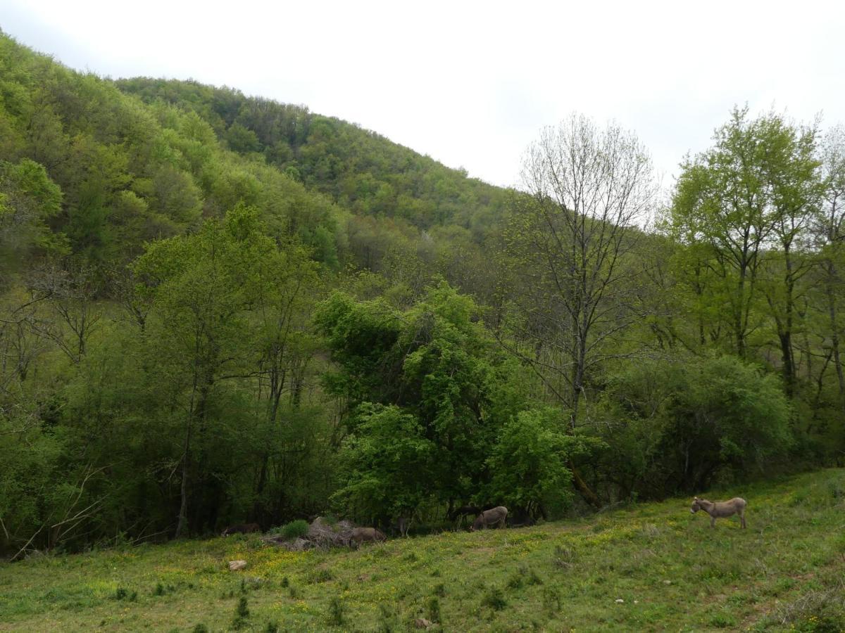 Source Nature Mas-d'Azil Екстериор снимка