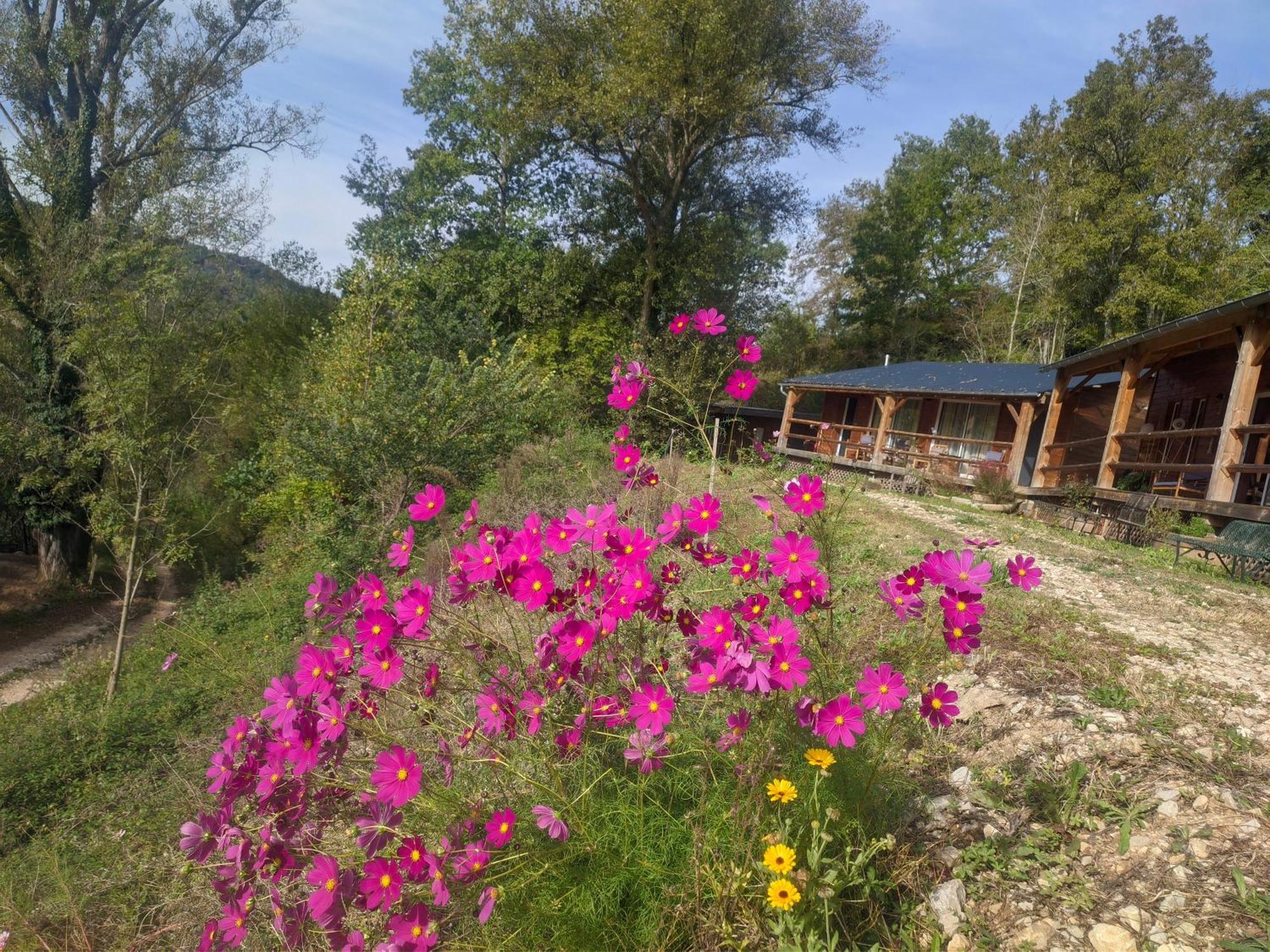 Source Nature Mas-d'Azil Стая снимка